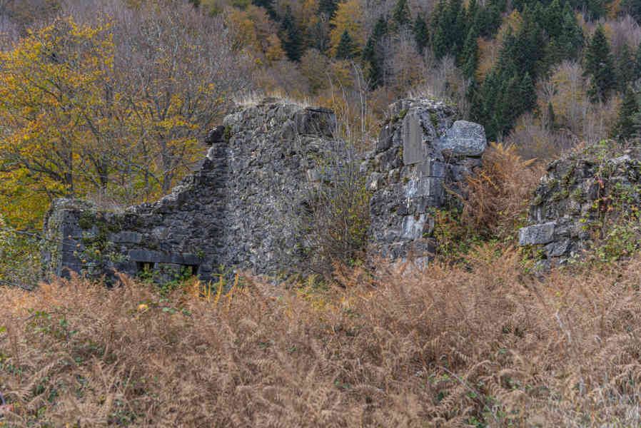 Comunidad Foral de Navarra 110 - Selva de Irati.jpg